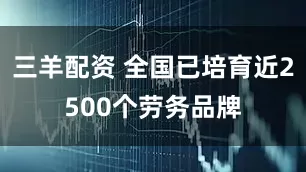 三羊配资 全国已培育近2500个劳务品牌