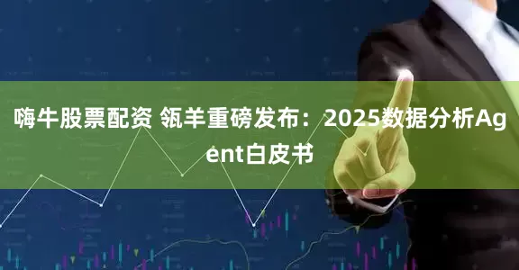 嗨牛股票配资 瓴羊重磅发布：2025数据分析Agent白皮书